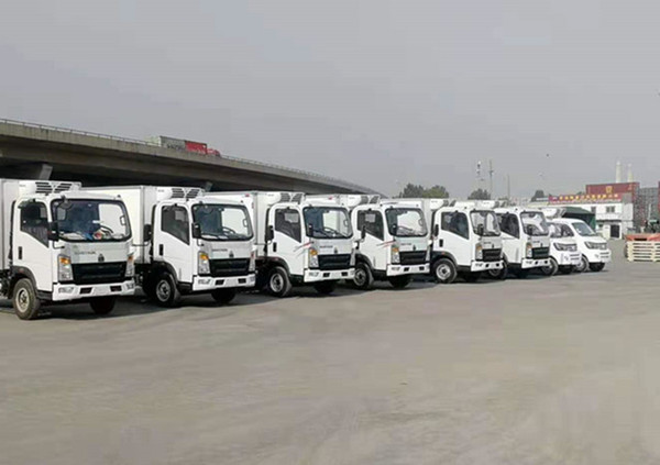 19 Units Refrigerated Trucks for Sale in Low Price