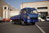 SINOTRUK HOWO 4×2 3T-10T Cargo Truck