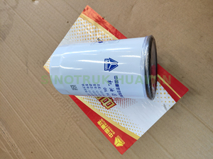 Oil-filter-VG1246070031-300-