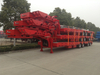 3 Axles 4 Axles Telescoping Lowbed Semi Trailer for Australia